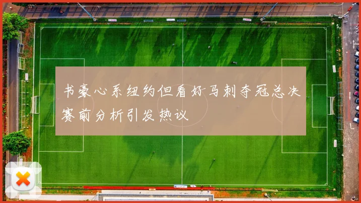 书豪心系纽约但看好马刺夺冠总决赛前分析引发热议